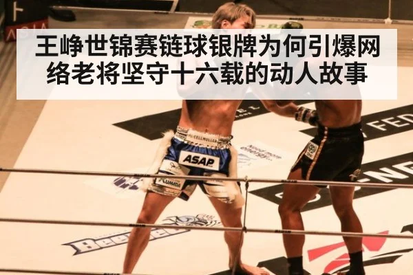 王峥世锦赛链球银牌为何引爆网络老将坚守十六载的动人故事